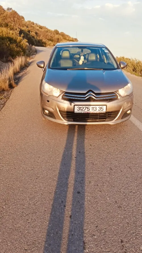 Citroen C4 2013 Collection