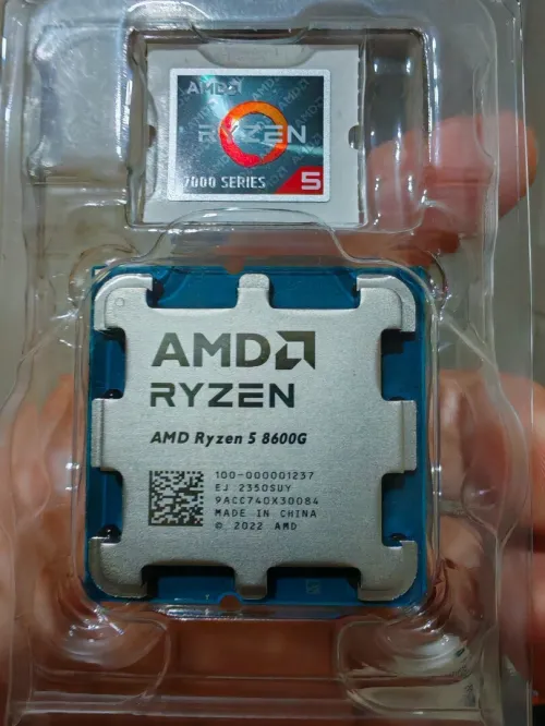 Amd ryzen 5 8600G