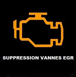 decalaminage Suppression Fap egr ad blue