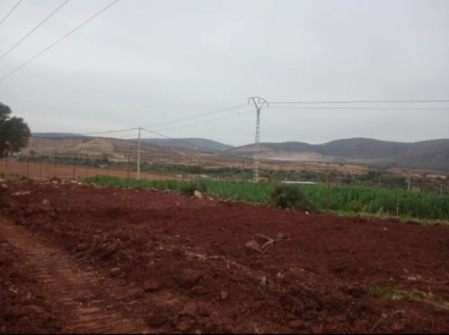 Vente Terrain Agricole Tlemcen Oued chouli
