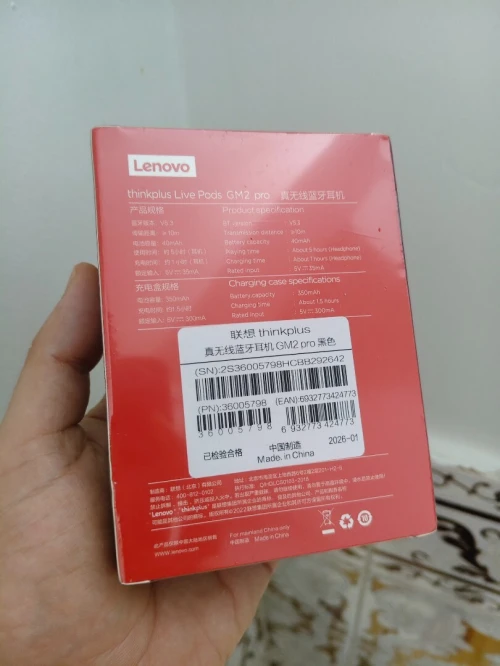 Écouteurs sans fil Lenovo ThinkPlus GM2 Pro