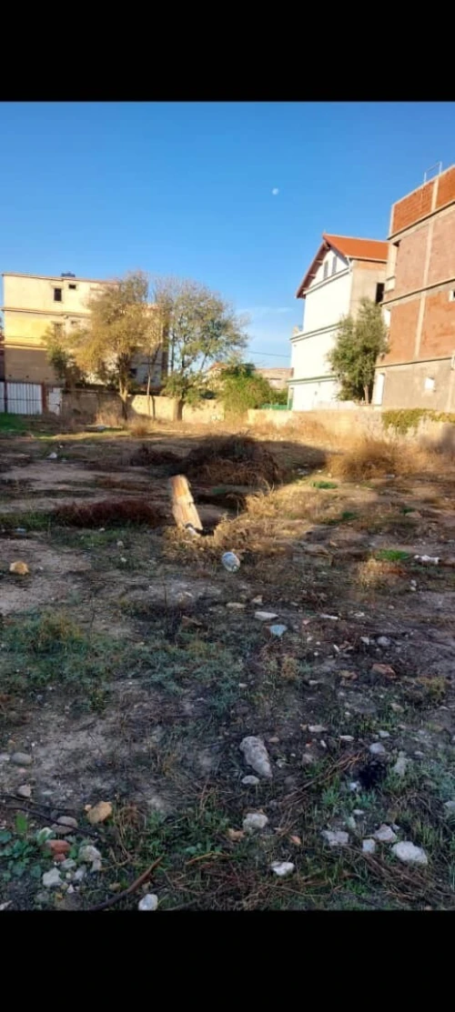 Vente Terrain Alger Bordj el bahri