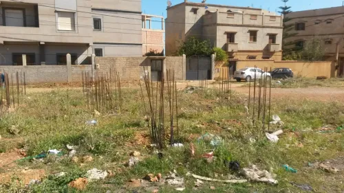 Vente Terrain Tipaza Bou ismail
