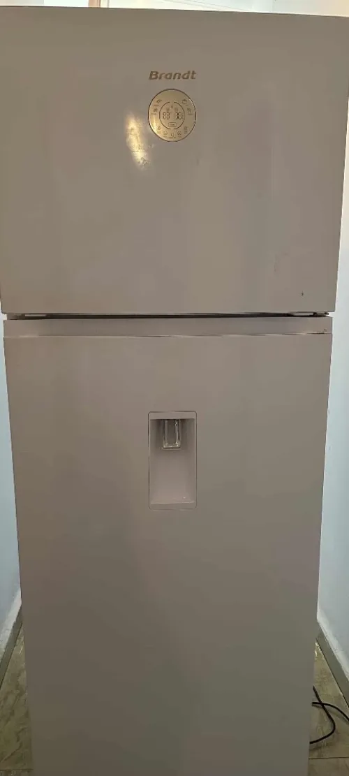 frigidaire Brandt 490L