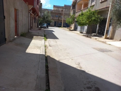Vente Terrain Aïn Témouchent El amria