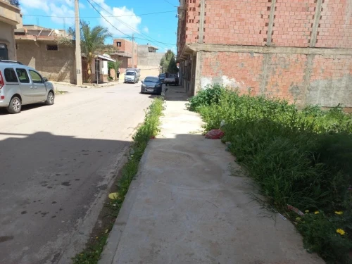 Vente Terrain Aïn Témouchent El amria