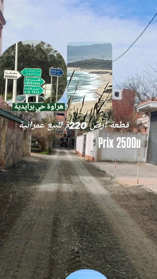 Vente Terrain Alger Hraoua