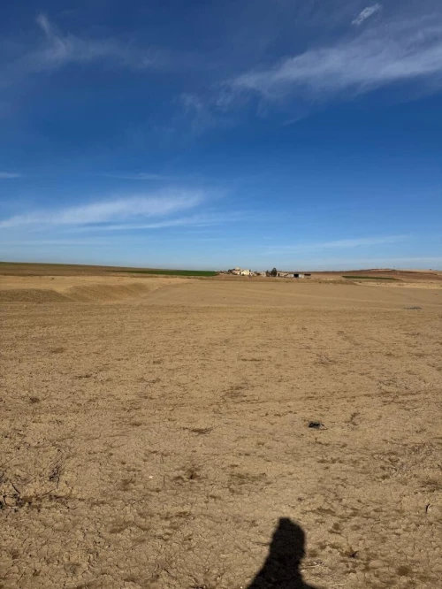 Vente Terrain Oran El Kerma