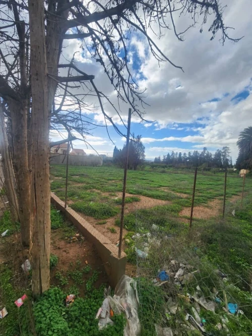 Vente Terrain Oran Misseghine