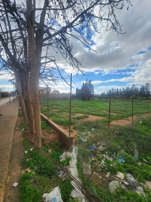 Vente Terrain Oran Misseghine