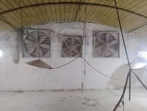 Vente Hangar - Usine Béjaïa Seddouk