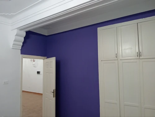 Peintre professionnel صباغ