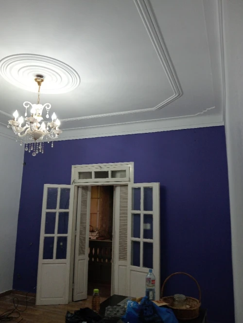 Peintre professionnel صباغ