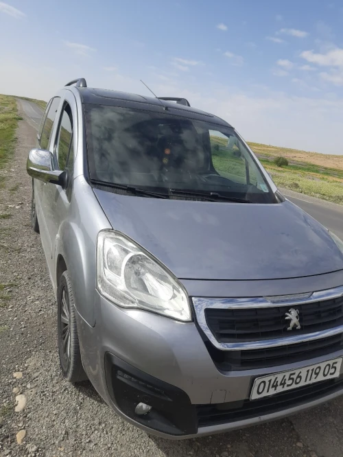 Peugeot TEPEE 2019 ALLURE