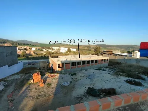 Vente Hangar Guelma Nechmaya
