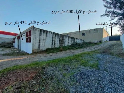 Vente Hangar Guelma Nechmaya