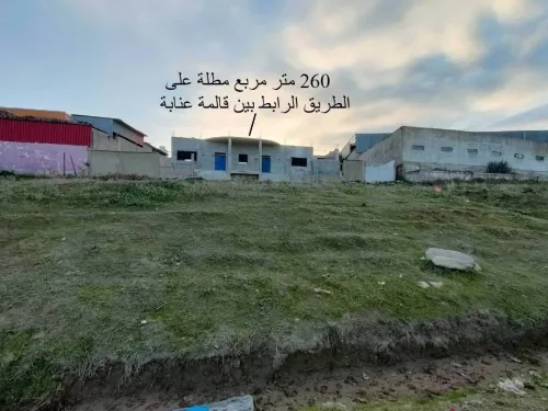 Vente Hangar Guelma Nechmaya