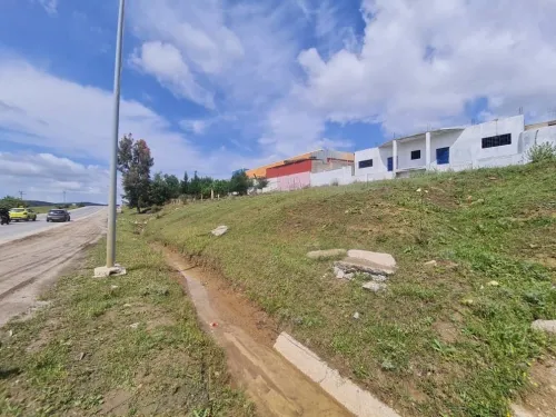 Vente Hangar Guelma Nechmaya