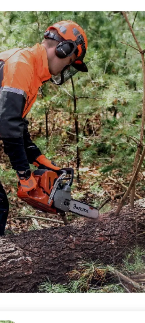 Abattage d'arbres et désherbage et nettoyage des jardins 