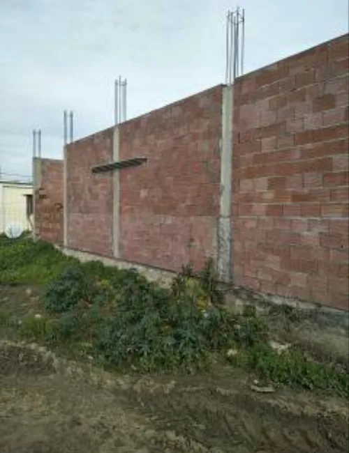 Vente Terrain El Tarf Echatt