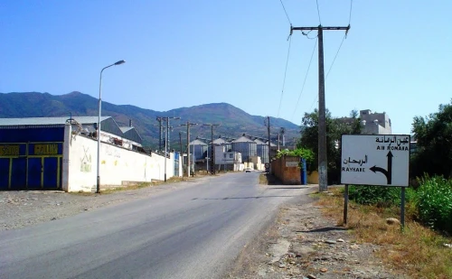 Vente Terrain Blida Ain romana