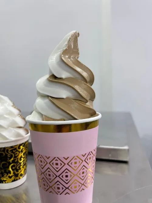 Machines a Glaces / آلات صنع المثلجات