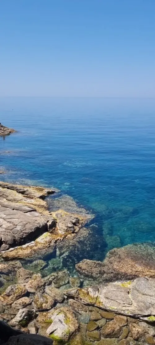 Location vacances Bungalow Tipaza Tipaza