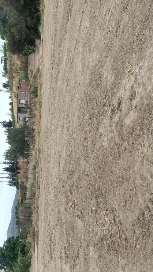 Vente Terrain Tipaza Sidi amar