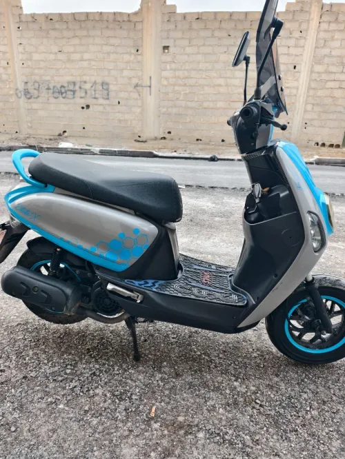 Vms Estate 125 2023