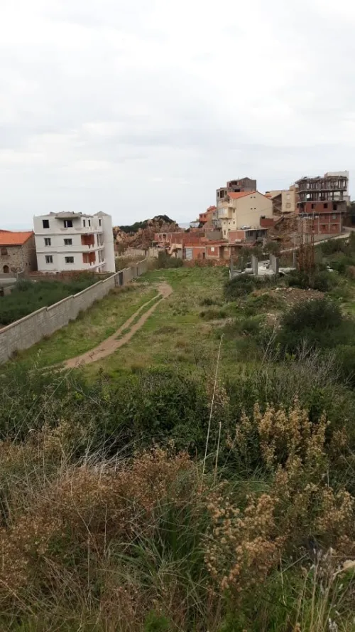 Vente Terrain Béjaïa Toudja