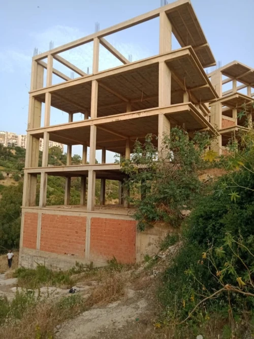 Vente Carcasse Tipaza Cherchell