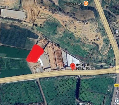 Vente Terrain Chlef Chlef