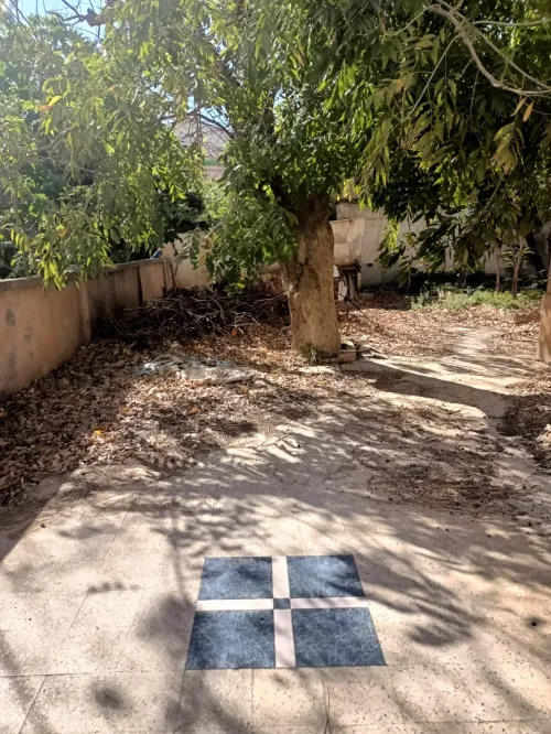 Vente Terrain Alger Birkhadem