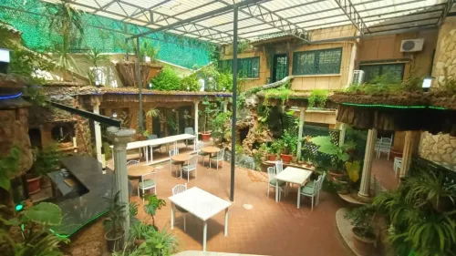 Location Local Alger Dely brahim