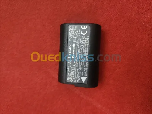 Batterie Panasonic DMW-BLK22E pour Lumix GH6, GH5II et S5, S5II, S5IIx
