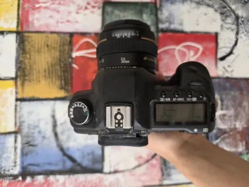 Canon 5D mark II + 50mm 1.4