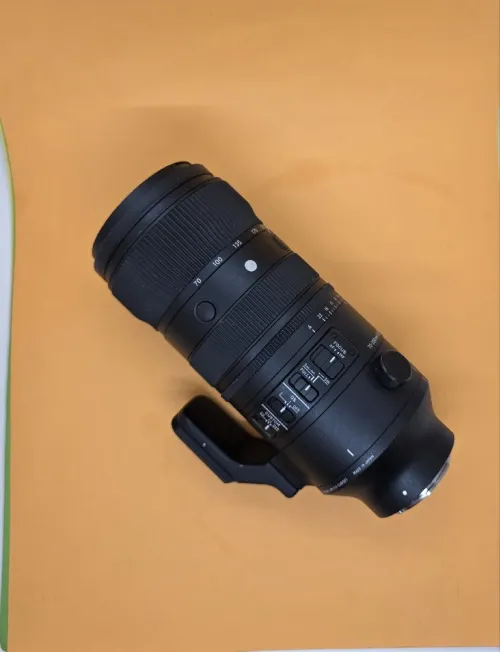 [Sony] Sigma 70-200mm f/2.8 DG DN OS