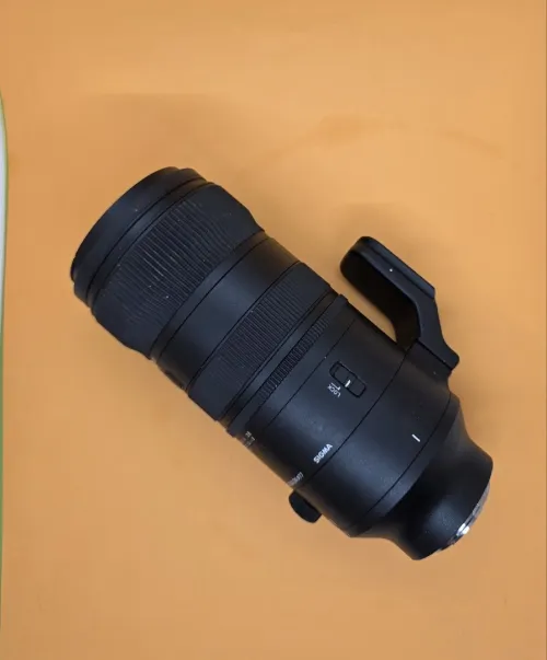 [Sony] Sigma 70-200mm f/2.8 DG DN OS