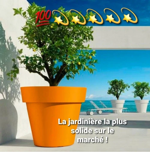  Pot de fleurs Jardinière 