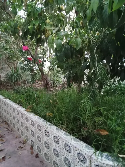 Vente Villa Alger Kouba