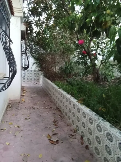 Vente Villa Alger Kouba