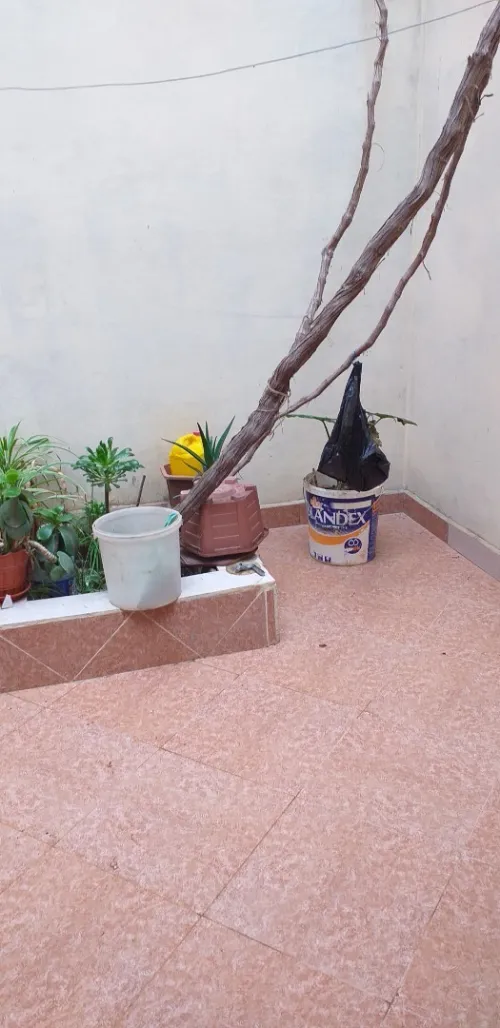 Vente Villa Aïn Témouchent Hammam bouhadjar