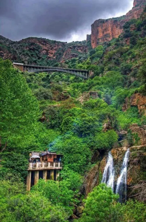 Vente Terrain Tlemcen Tlemcen