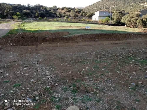 Vente Terrain Batna Teniet el abed