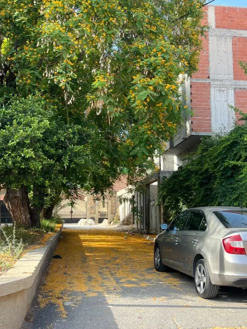 Vente Appartement F4 Alger Oued smar