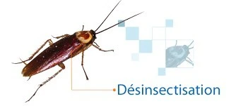 Ventre de produit de nettoyage professionnel 