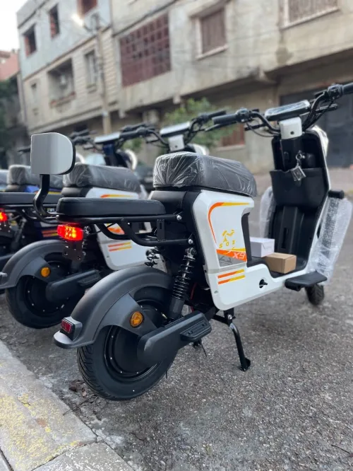 Scoozer X9 2025