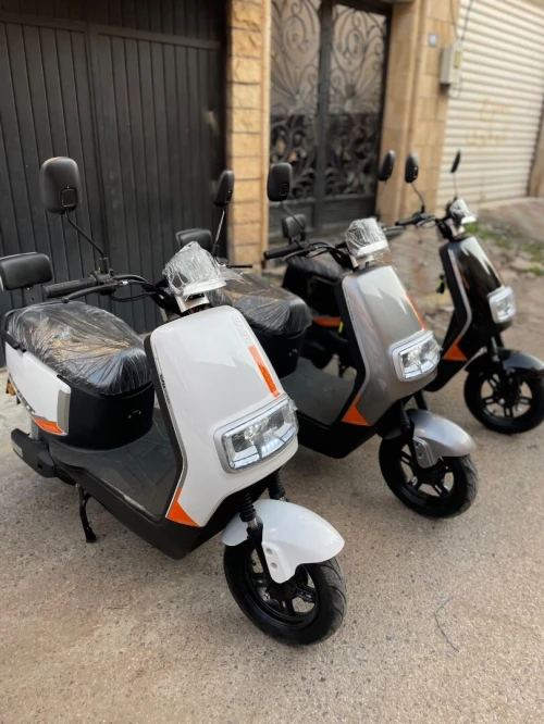 Dora Sport 2026