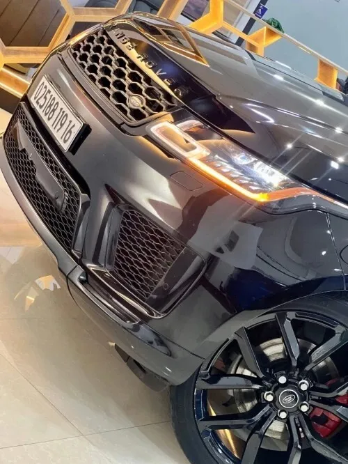 Ronge rover P 300 2019 Svr