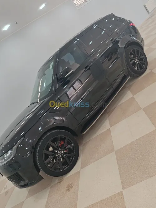 Ronge rover P 300 2019 Svr